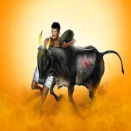 Jallikattu