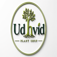 udhvid