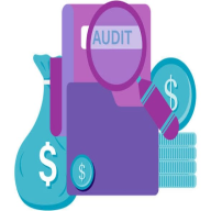 Ai Financial Auditor