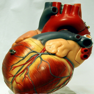 پلتفرم کسب درامد وانلاین سلامت